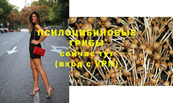 круглые Алексеевка