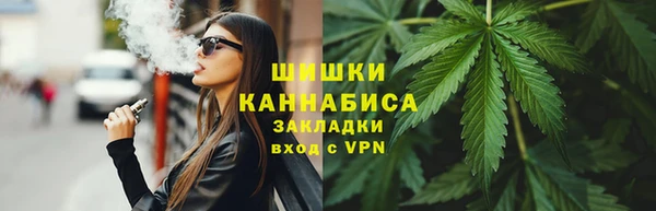 дмт Алзамай