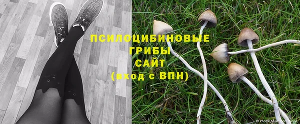 твердый Алексин
