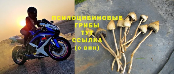 дмт Алзамай