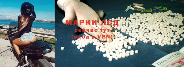 дмт Алзамай