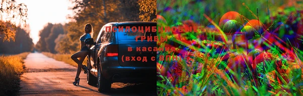 дмт Алзамай